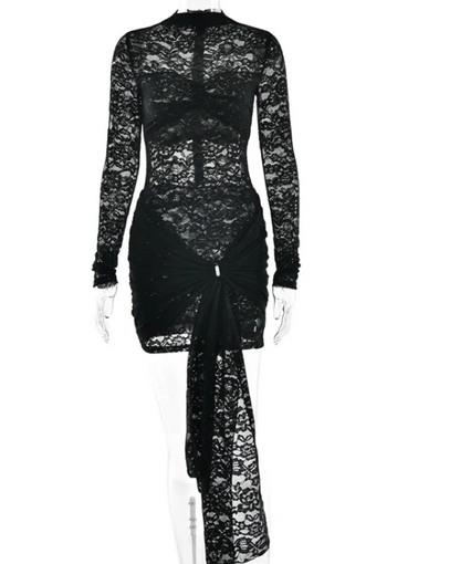 Women's Slim Fit Lace Long Sleeve Dress